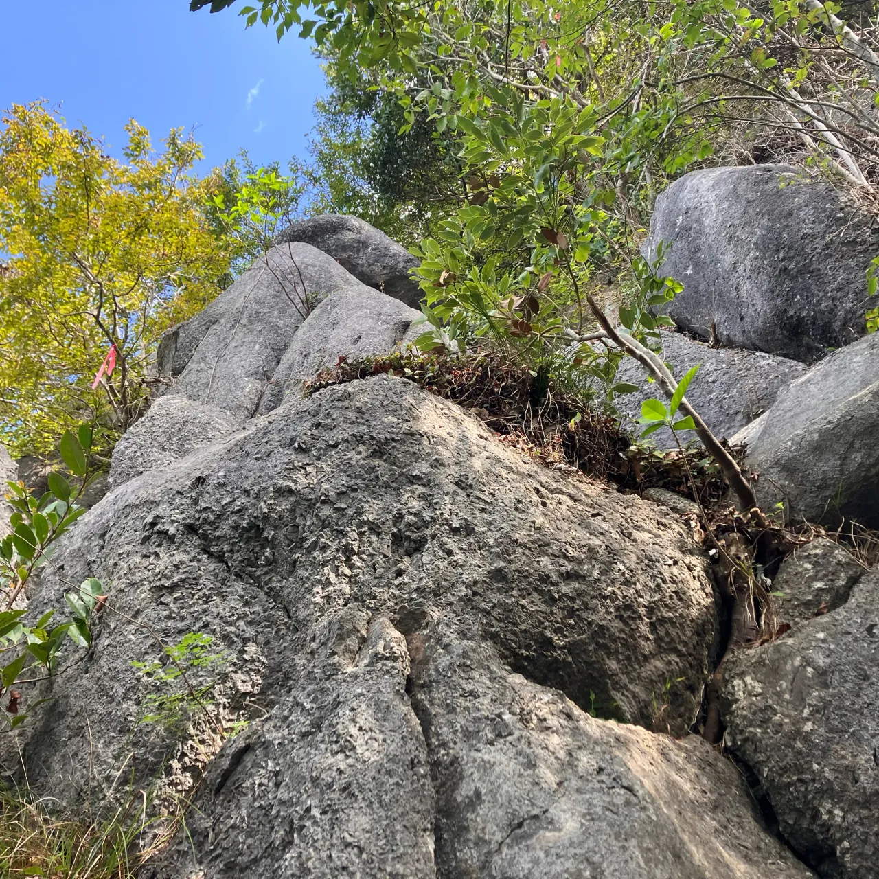 香春岳三ノ岳 岩登りコース⛰️