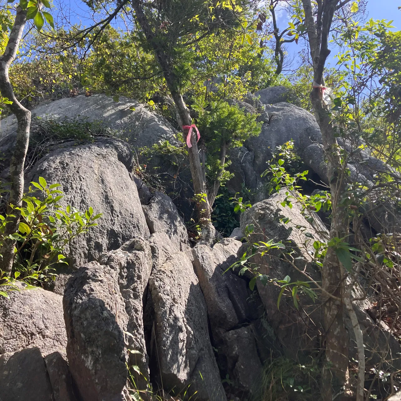 香春岳三ノ岳 岩登りコース⛰️