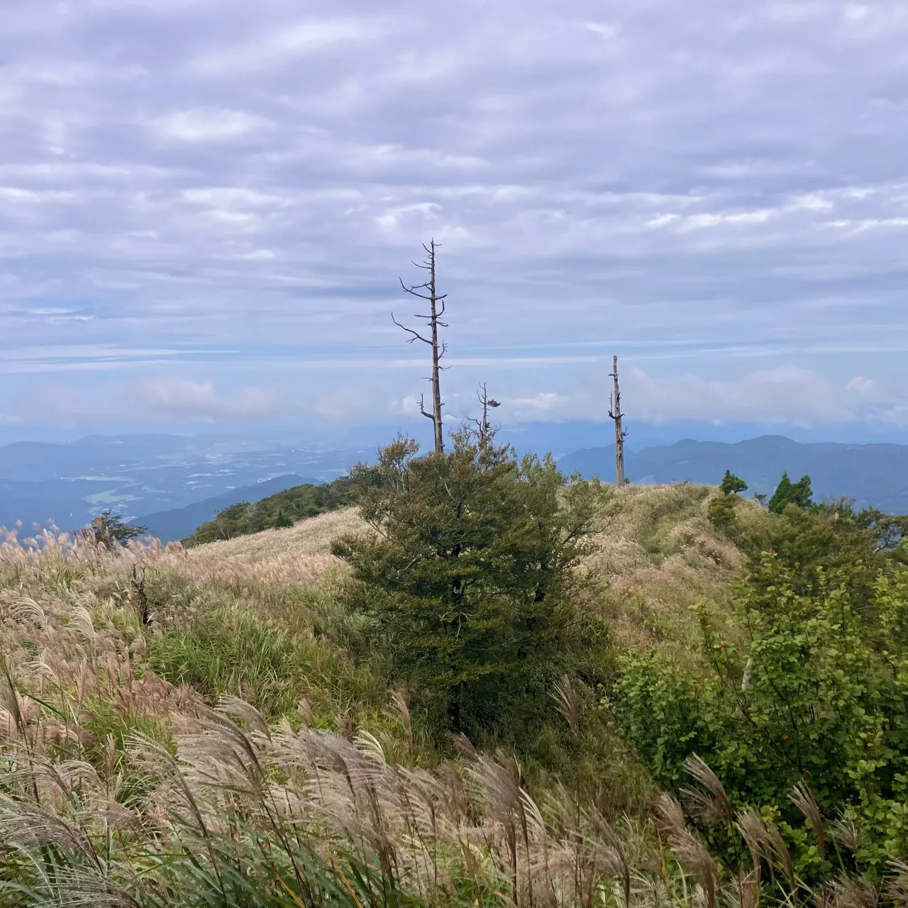 久し振りの英彦山は、いつものように英彦山レジェンドの定村さん...