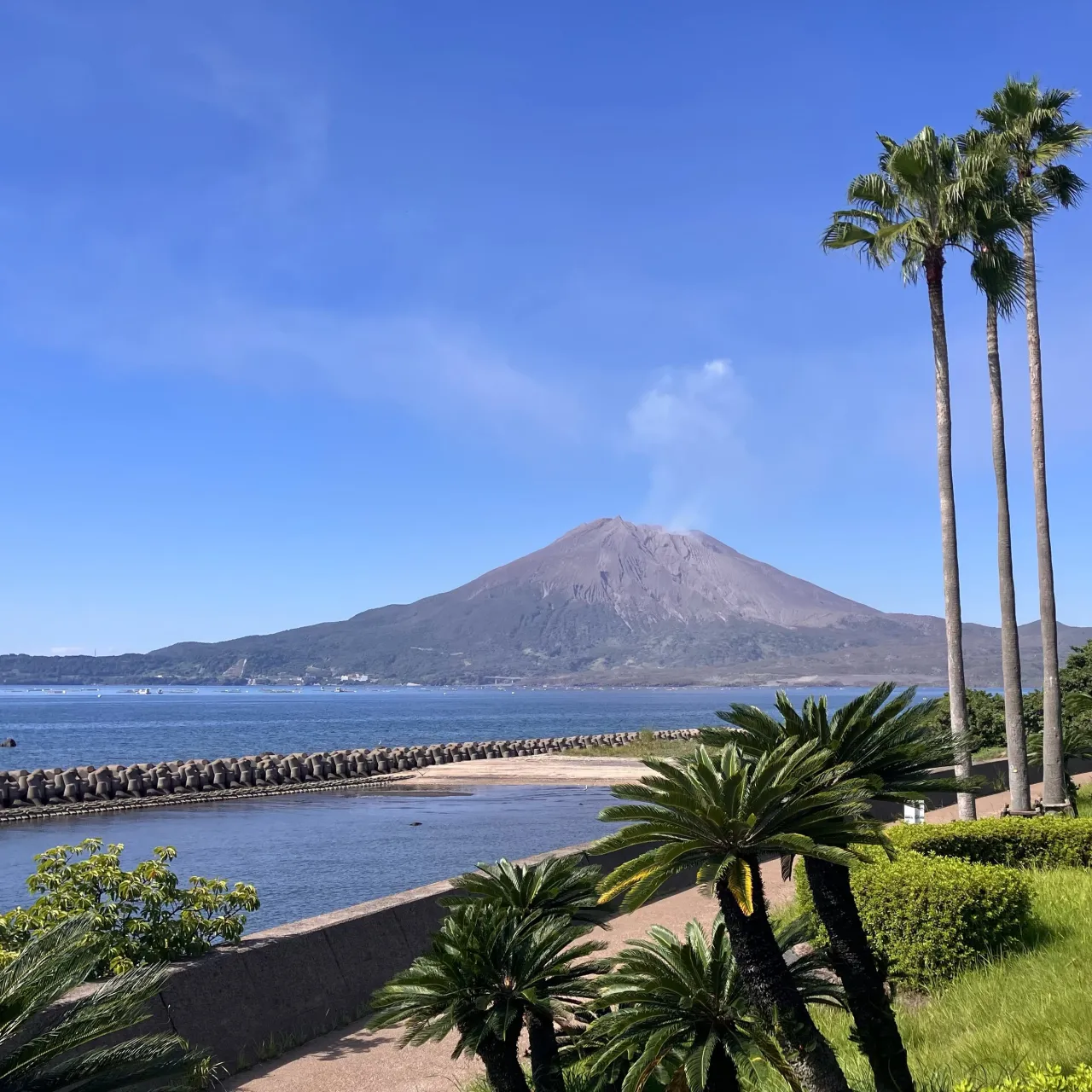 久し振りに大隅半島に来ています🚙