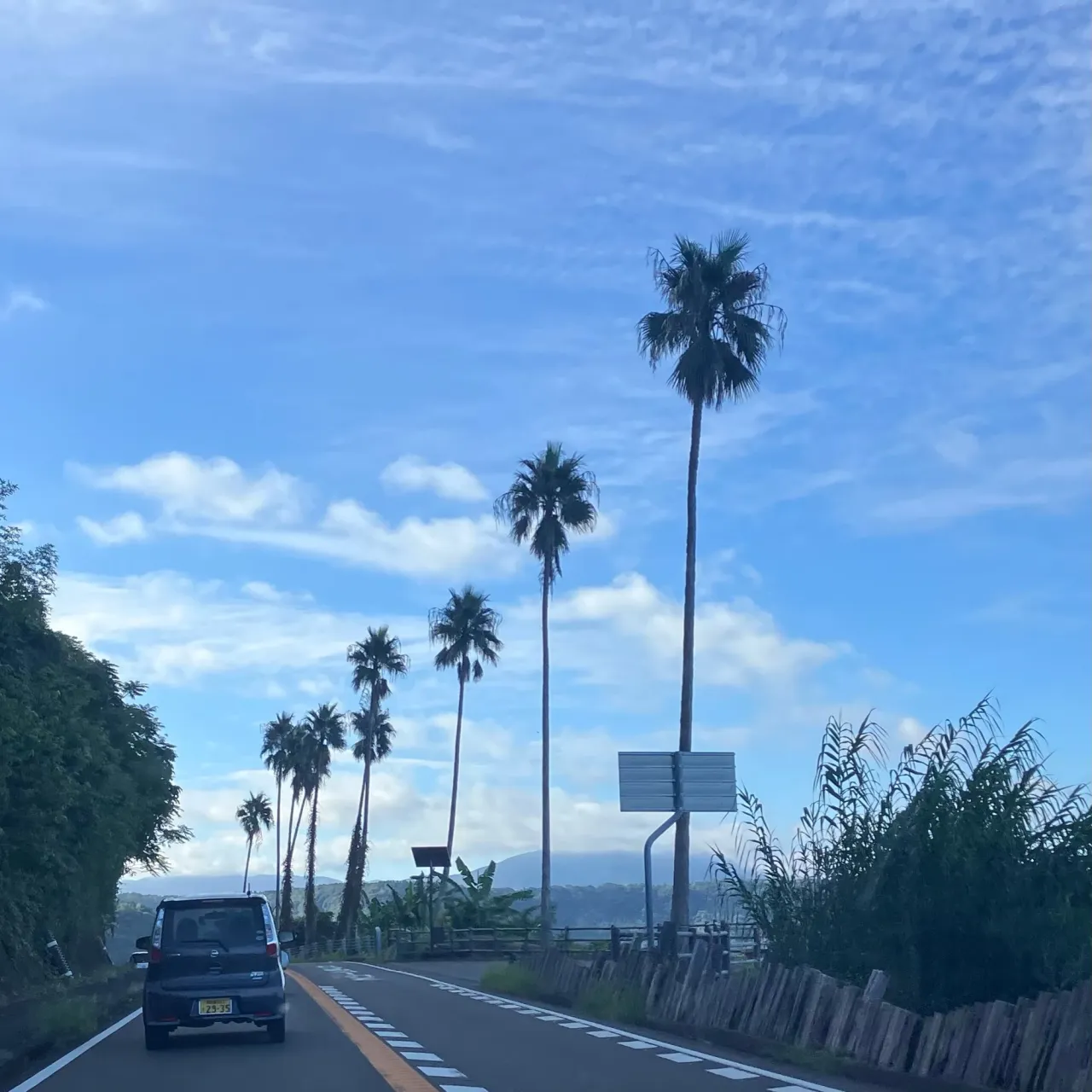 久し振りに大隅半島に来ています🚙