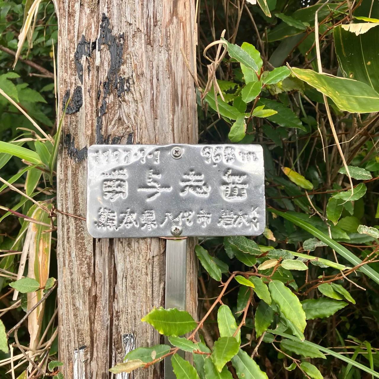 朝一の用事を済ませて、10時に福岡出発🚙