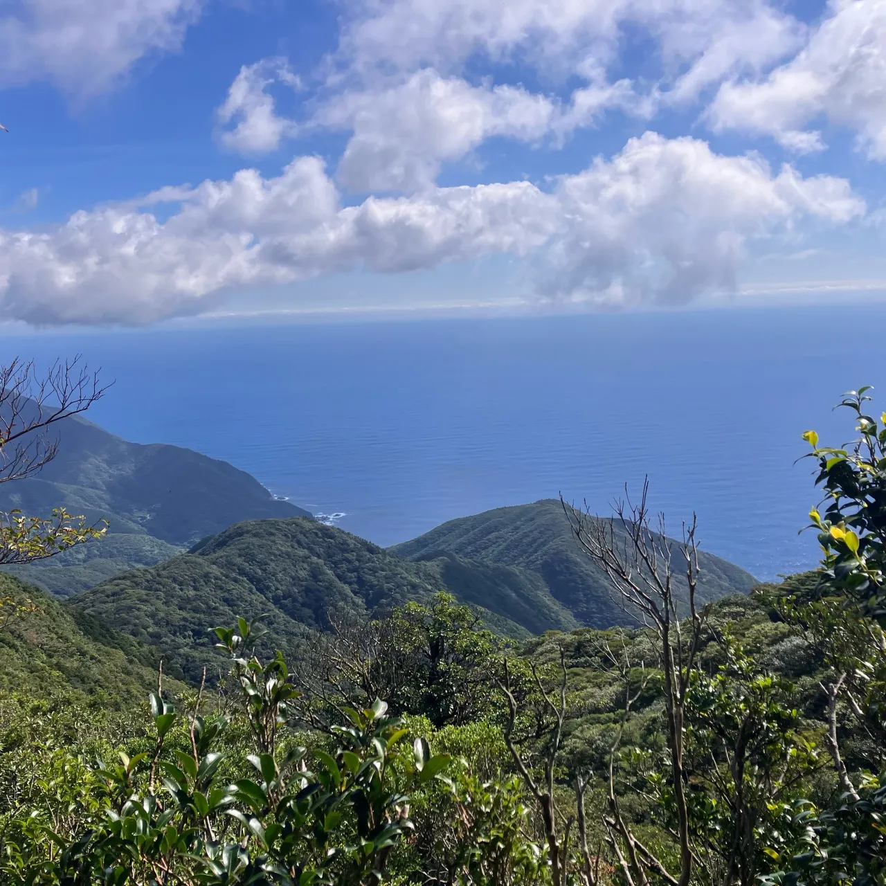 大隅半島の2日目は九州百名山 稲尾岳へ🚙