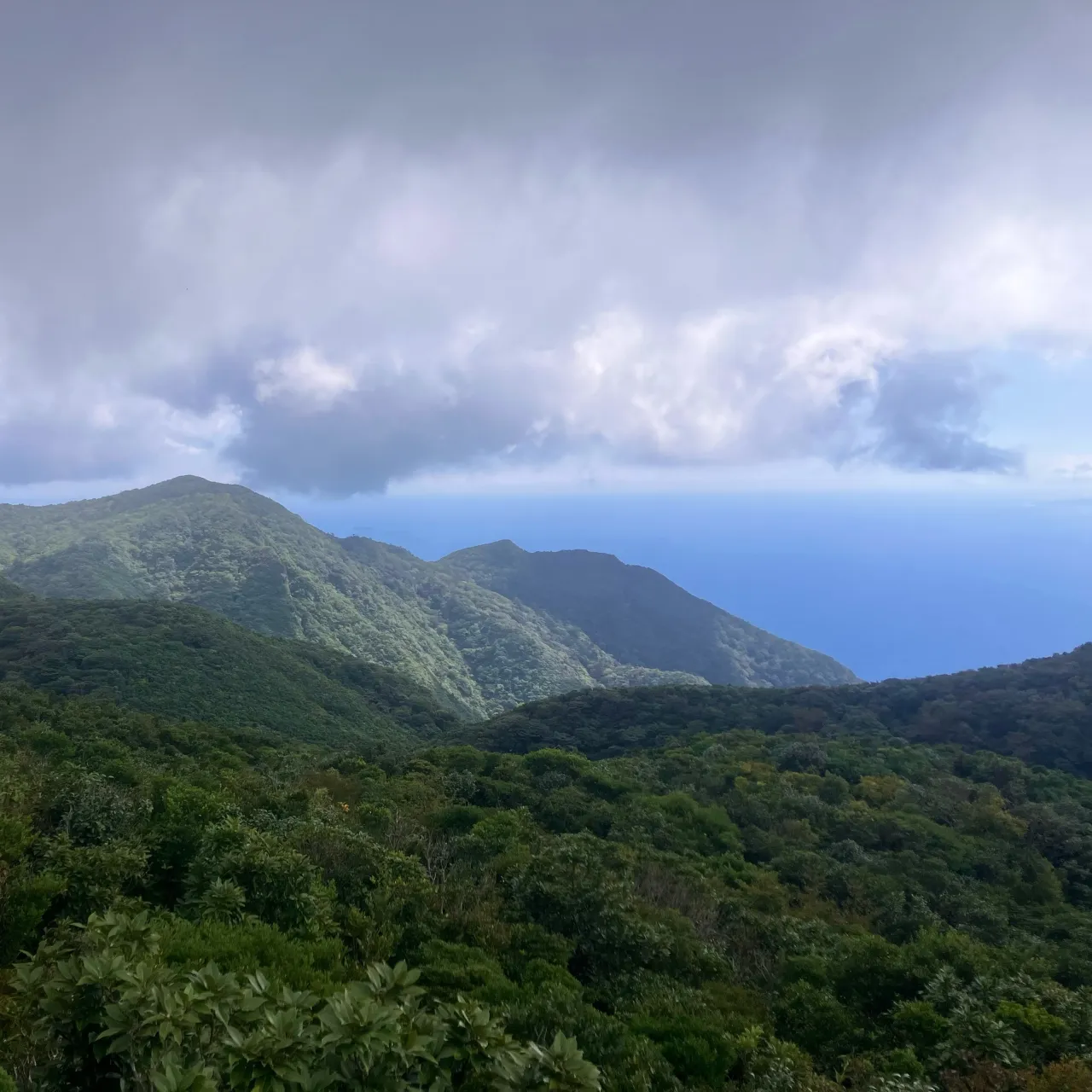 大隅半島の2日目は九州百名山 稲尾岳へ🚙