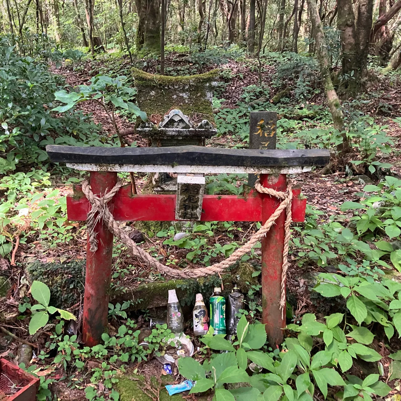 大隅半島の2日目は九州百名山 稲尾岳へ🚙
