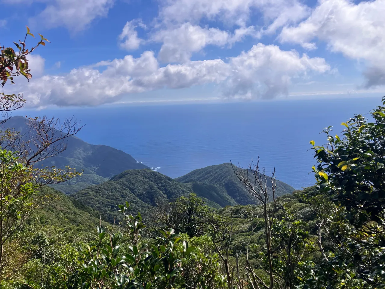 九州本土最南端の佐多岬手前に聳える九州最南端の山 摺ヶ丘⛰️