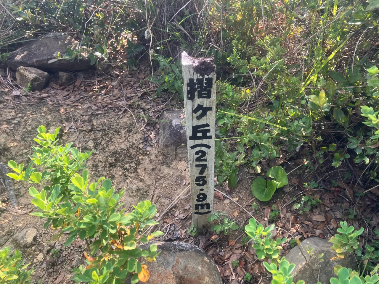 九州本土最南端の佐多岬手前に聳える九州最南端の山 摺ヶ丘⛰️