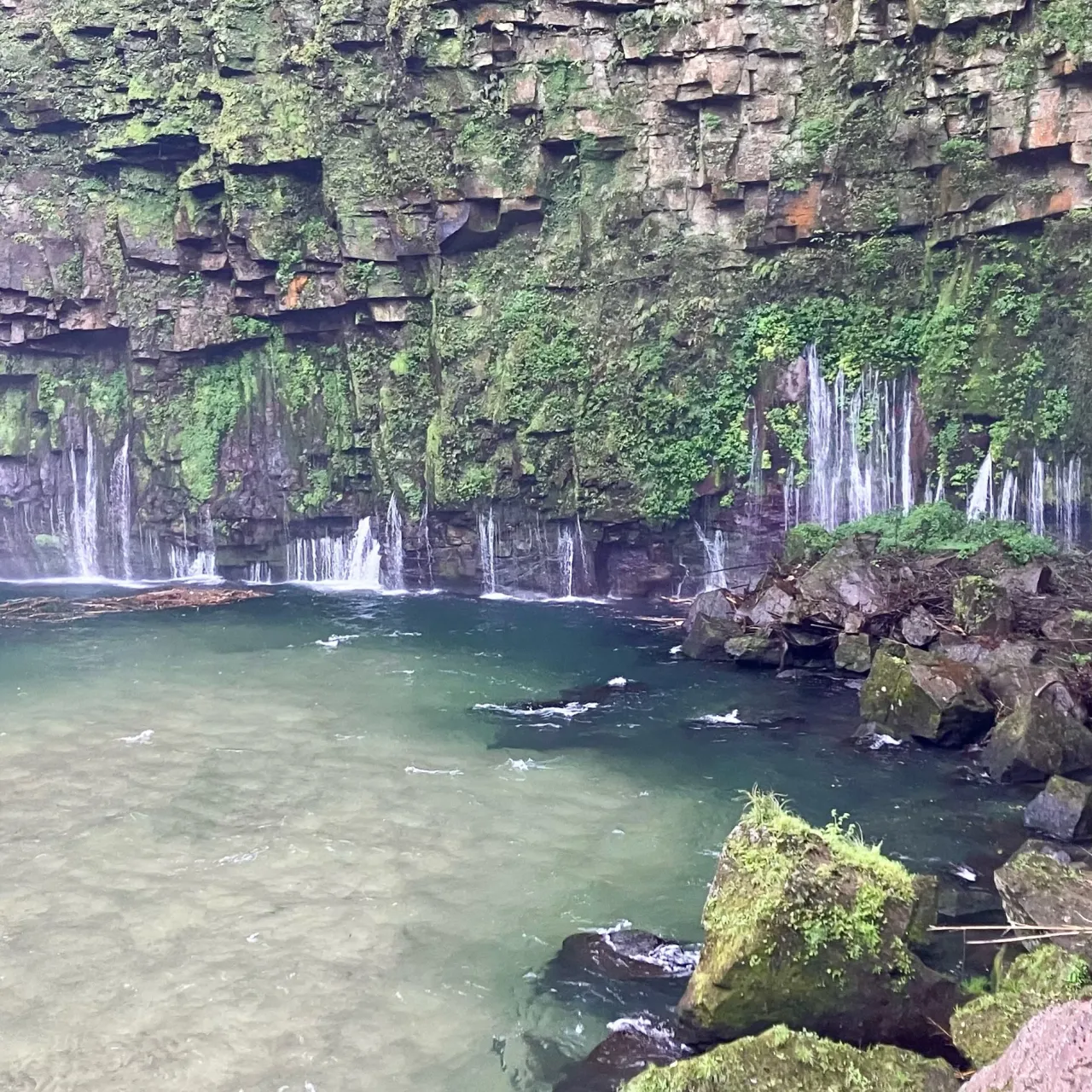 大隅半島の雄川の滝🏞️