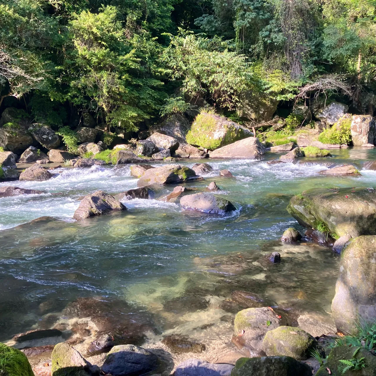 大隅半島の雄川の滝🏞️
