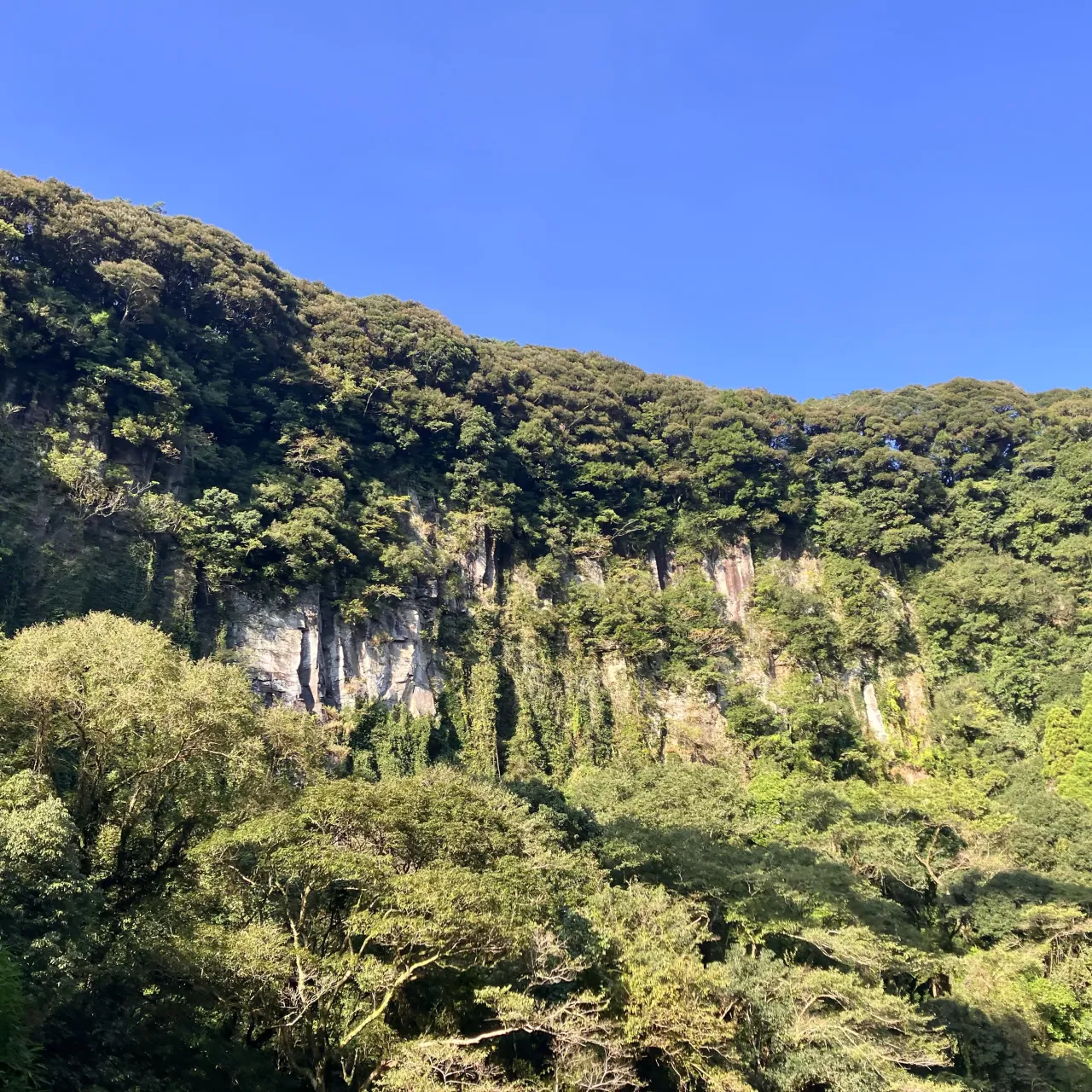 大隅半島の雄川の滝🏞️