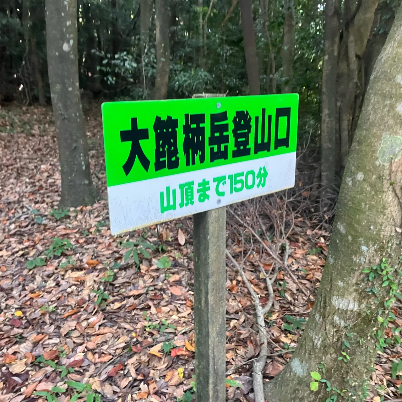この写真を見て、車道と思う人がどれだけ居るだろうか？🤔