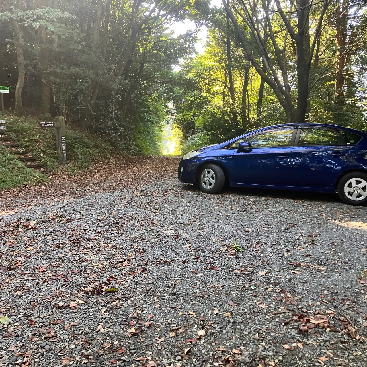 この写真を見て、車道と思う人がどれだけ居るだろうか？🤔