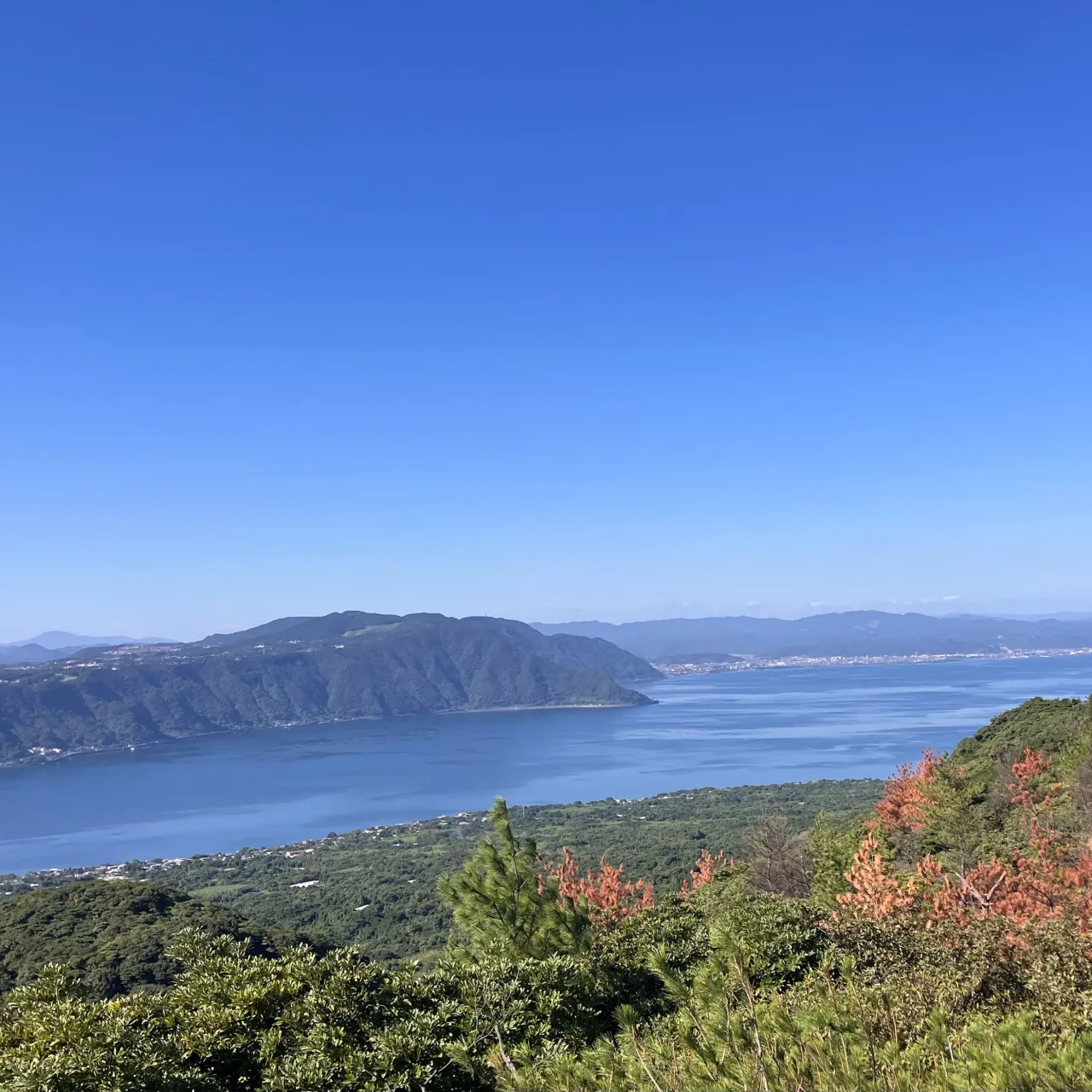 鹿児島最後の締めは、当然...桜島を見上げる湯之平✨🌋