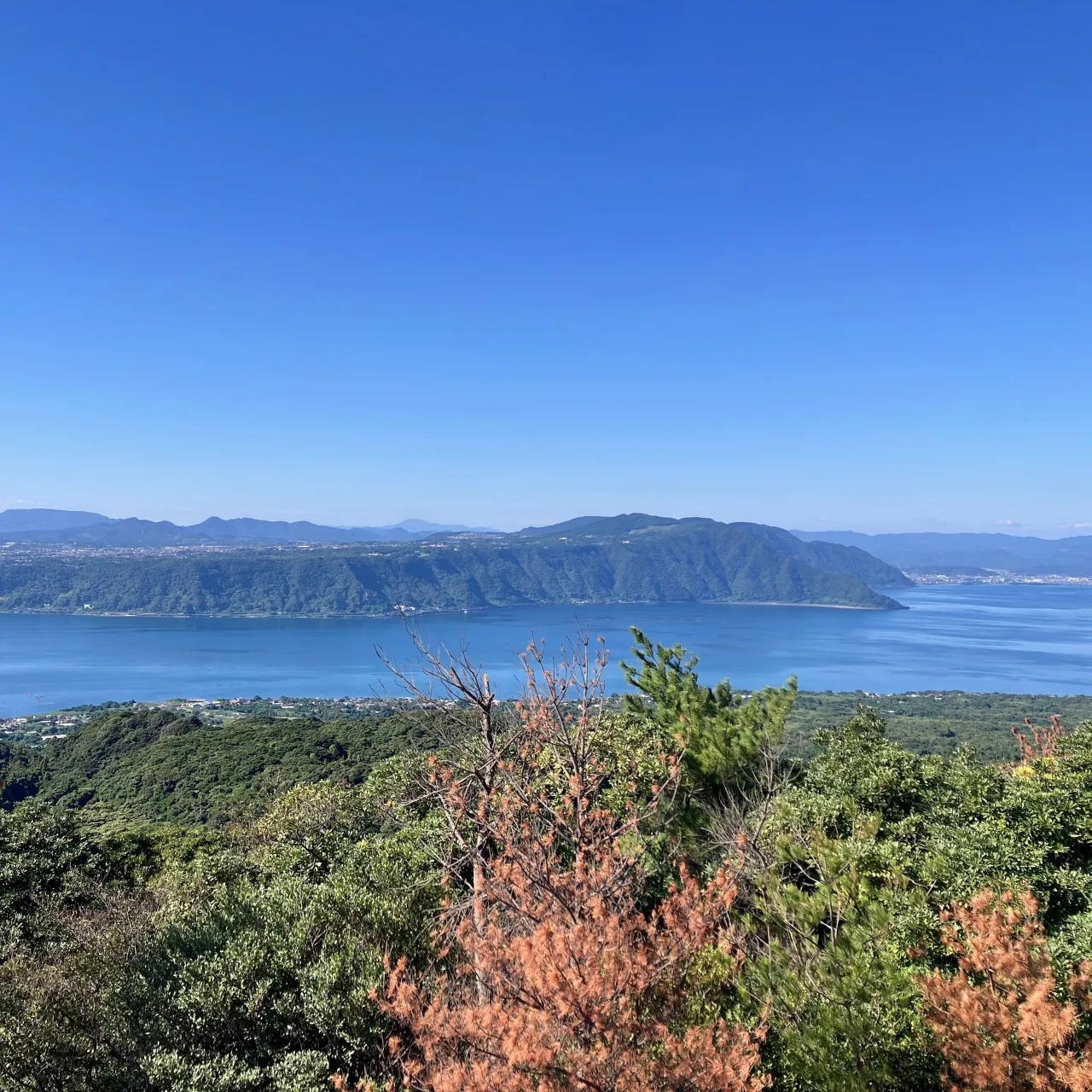 鹿児島最後の締めは、当然...桜島を見上げる湯之平✨🌋