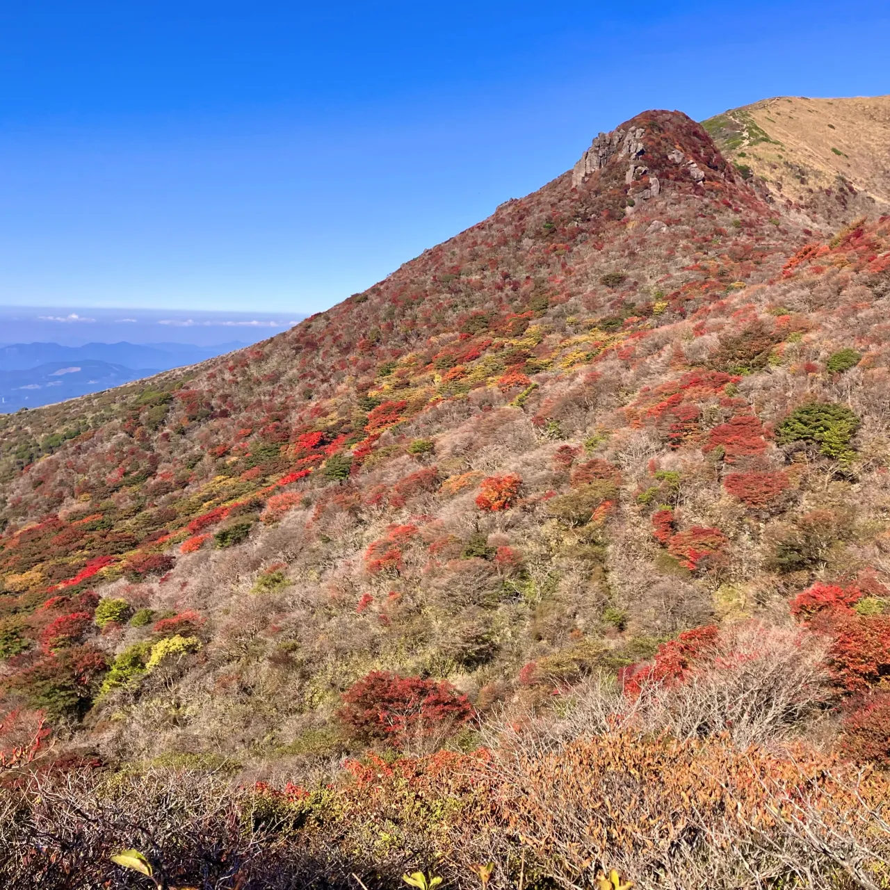 東京からお越しのご夫婦を九州の屋根くじゅう連山にご案内🚶➡...