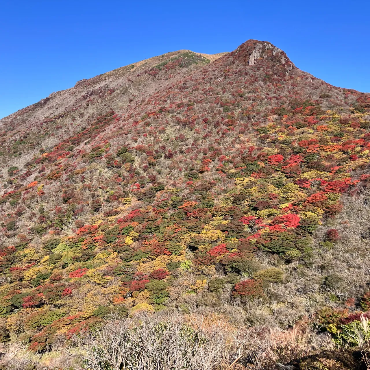 東京からお越しのご夫婦を九州の屋根くじゅう連山にご案内🚶➡...