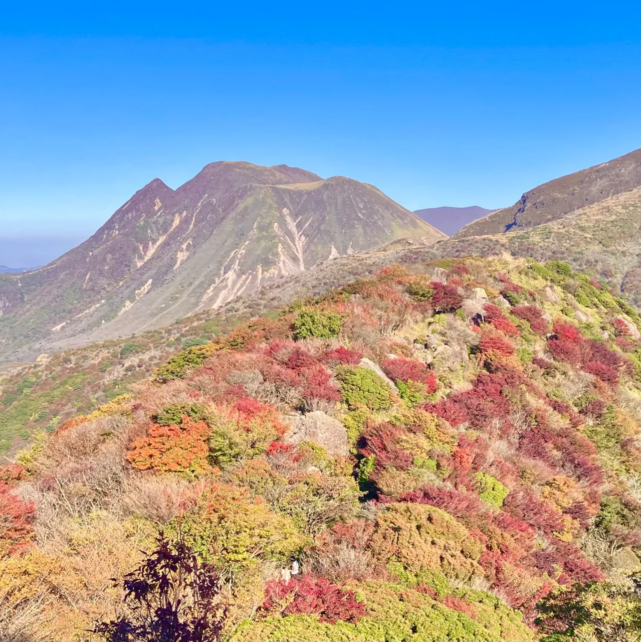 東京からお越しのご夫婦を九州の屋根くじゅう連山にご案内🚶➡...