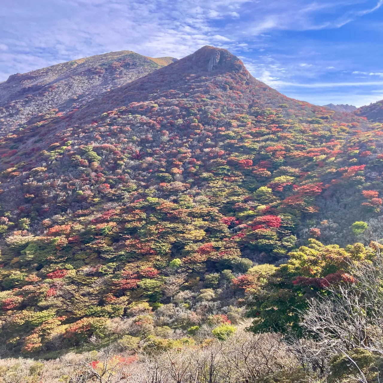 東京からお越しのご夫婦を九州の屋根くじゅう連山にご案内🚶➡...