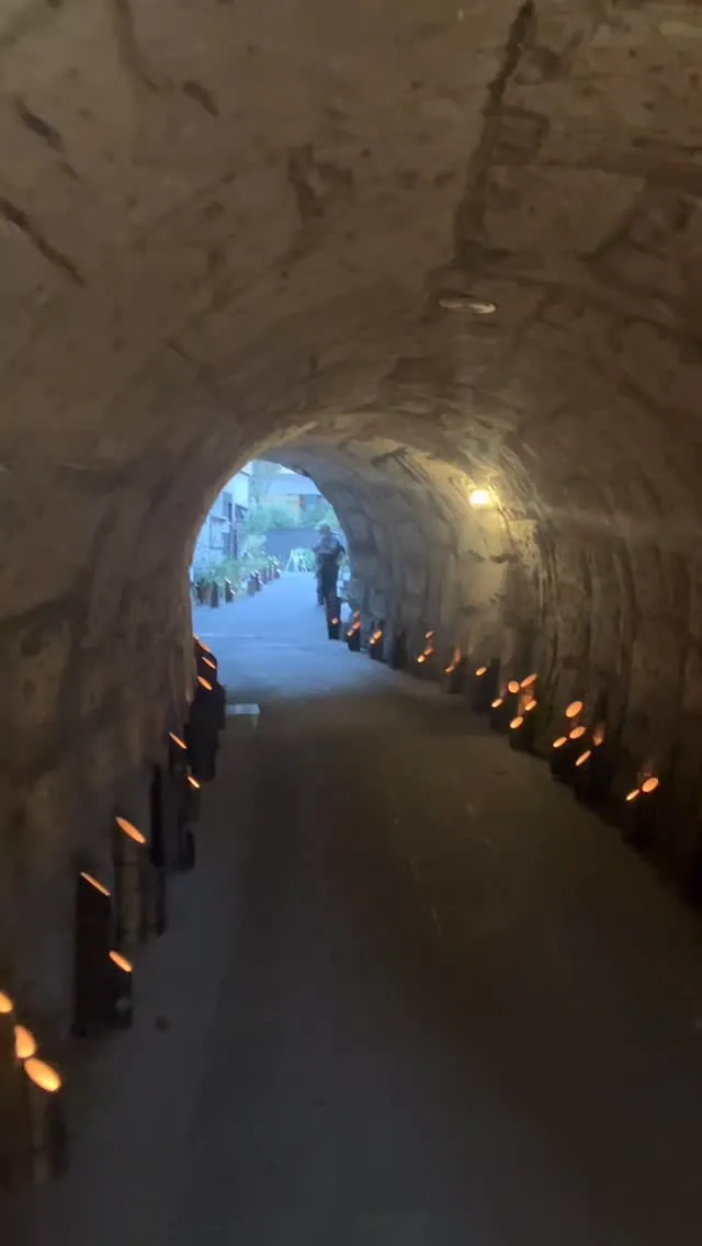 竹田市の滝蓮太郎トンネル🎵