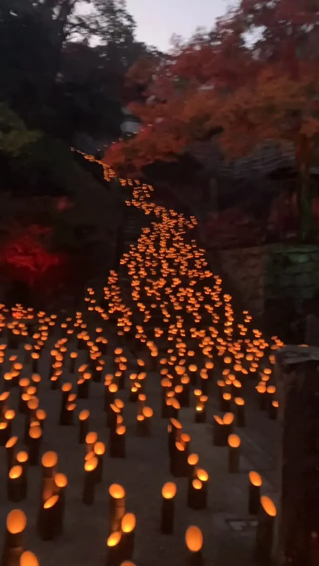 竹田市の秋の風物詩 竹楽🎋✨