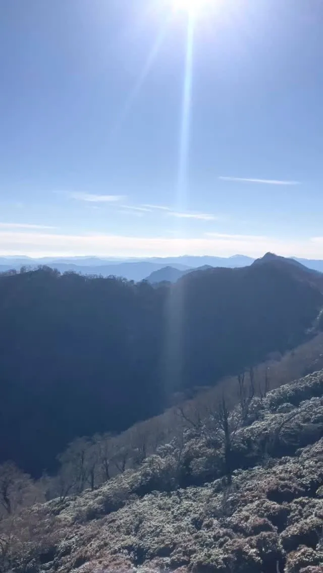 お姫山からの大絶景🤩