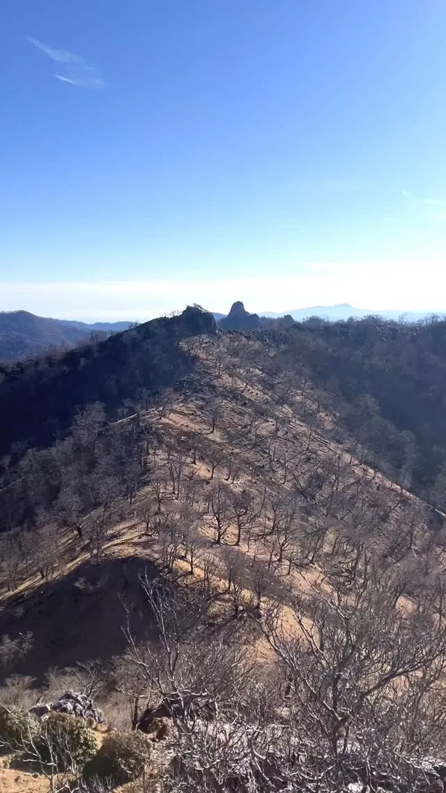 九州最後の秘境 大崩山系の五葉岳から✨