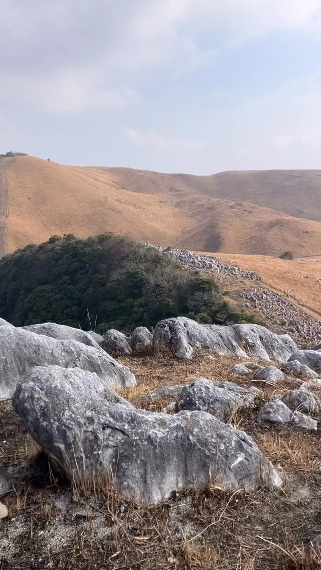 昨年末の12/30に日本三大カルスト 平尾台を散歩🚶‍➡️