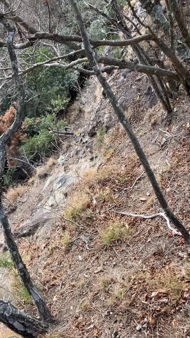 国東半島の鬼城👹から登山ルートを外れた危険だけど素晴らしい岩...