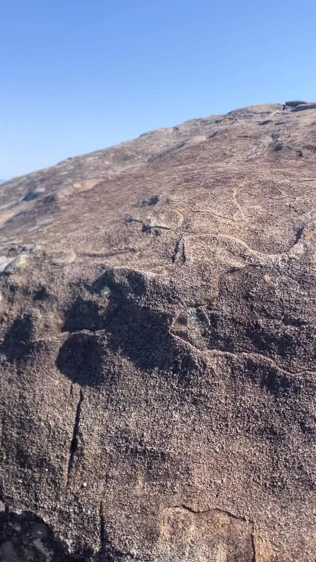 天草のジロー、次郎丸嶽山頂近くの巨大岩を登山道を外れて更に登...