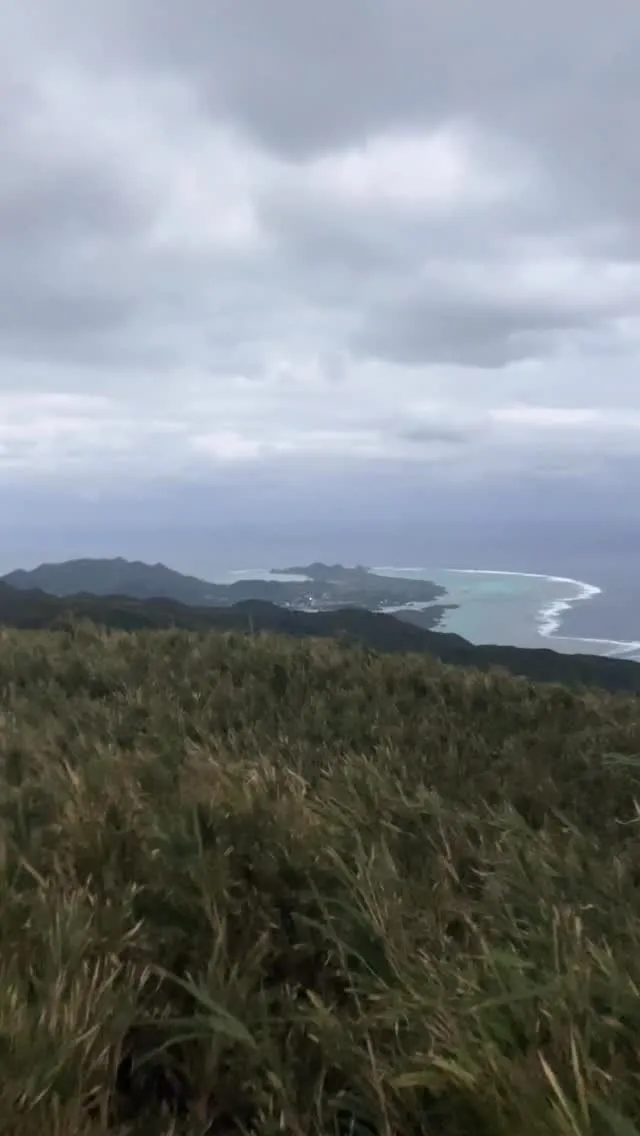 爆風の沖縄県最高峰、石垣島 於茂登岳(おもとだけ)🥶