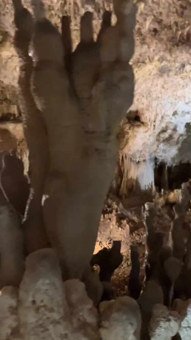 日本最南端の観光鍾乳洞 石垣島鍾乳洞✨