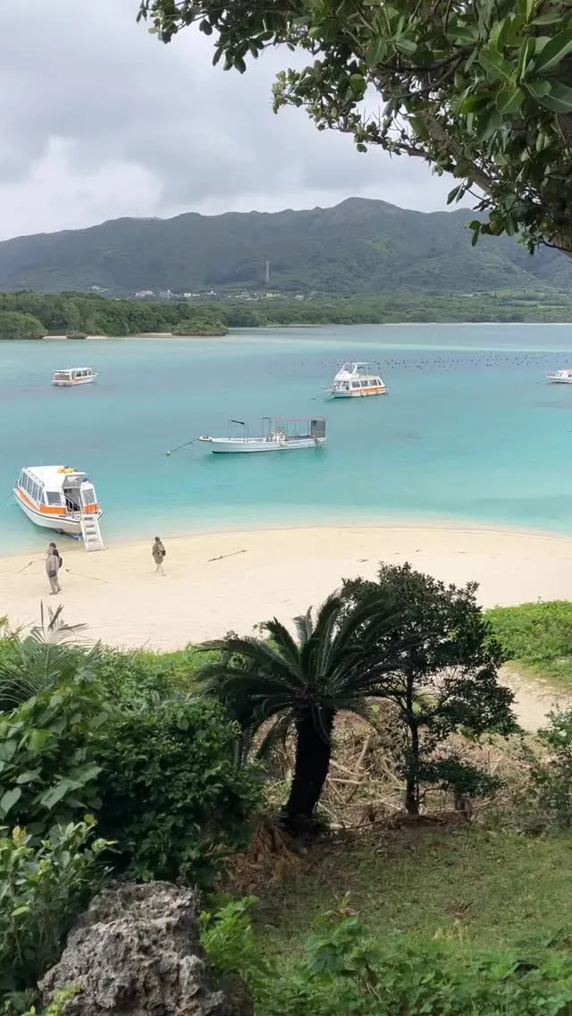 【動画】石垣島の川平湾でグラスボート✨🏝️