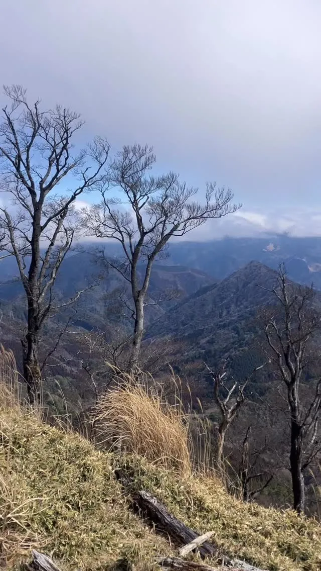 福岡に来たら絶対に訪れてほしいのが、日本三大修験山の一つ、英...