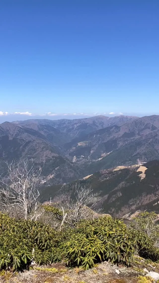 大自然を楽しみたいなら、標高1,645mの上福根山〜前福根山...