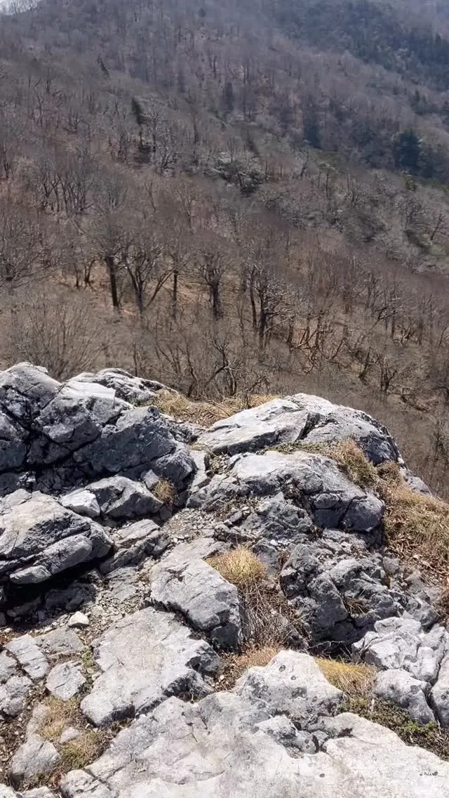 🌄絶景を求めて九州の中心へ！