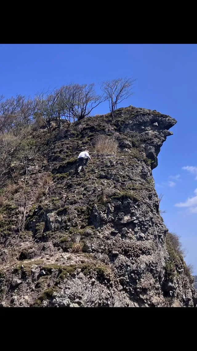 国東半島の超マイナーな太郎天尾根〜ゴジラ岩の冒険に行きません...