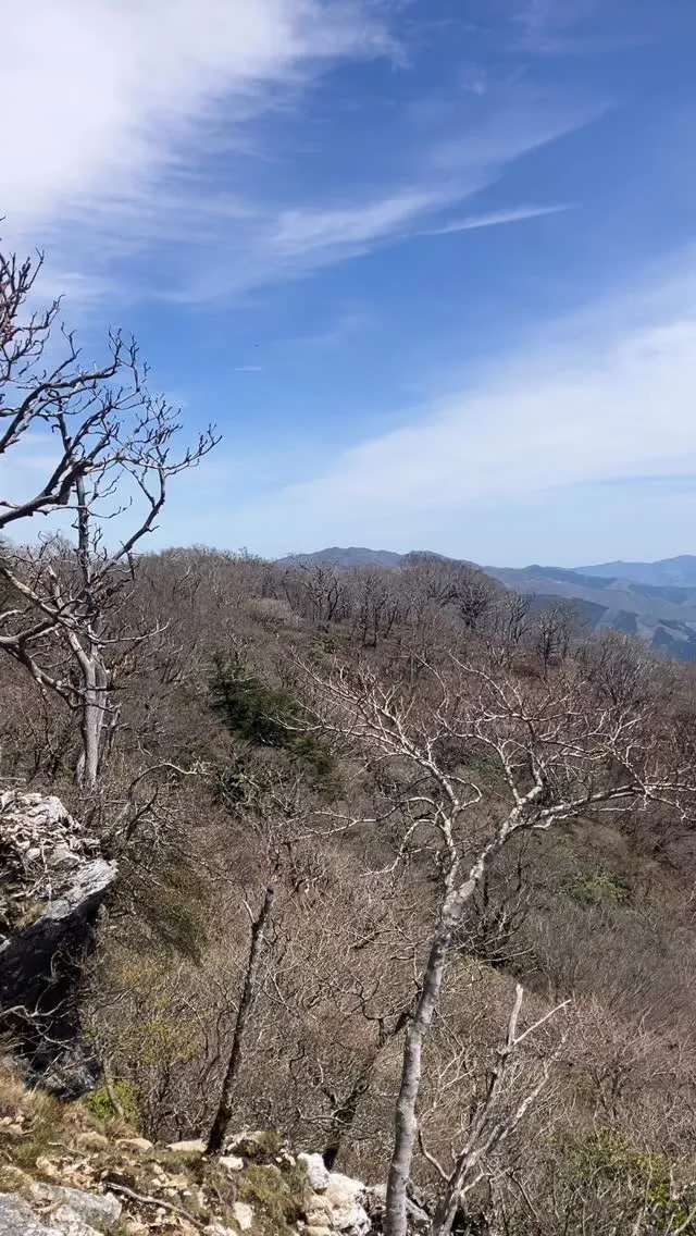 九州の秘境・峰越登山口から烏帽子岳への冒険、一緒にいかがです...
