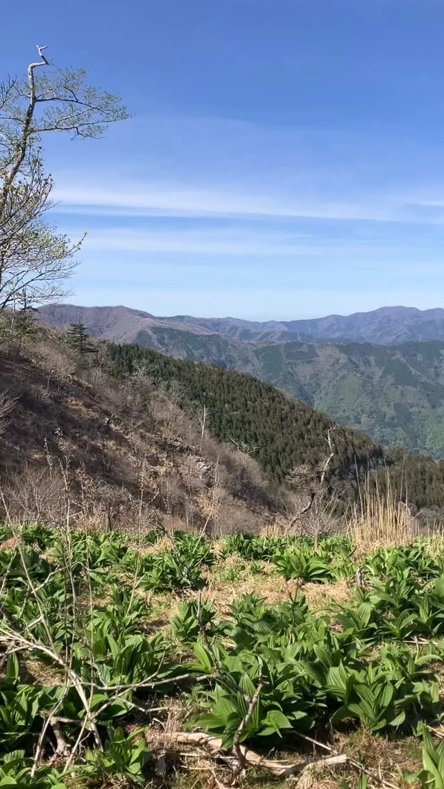 九州脊梁の白鳥山登山道からの絶景✨