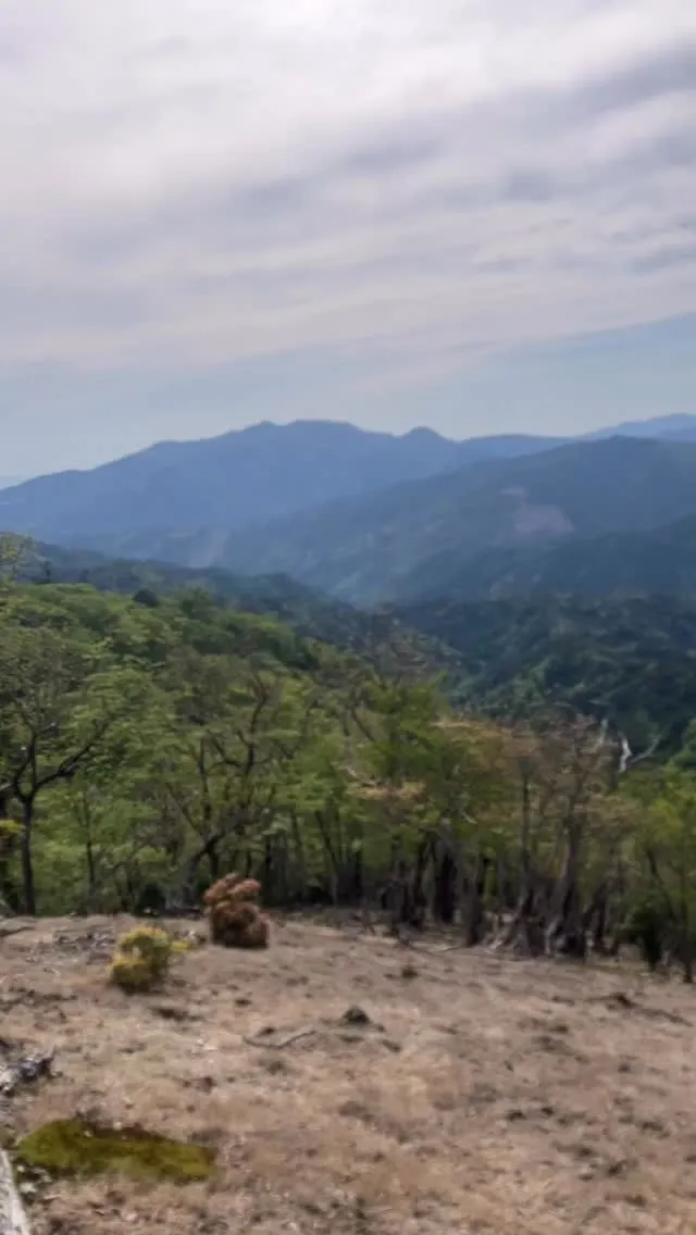 九州脊梁には何故か含まれない三方岳山⛰️